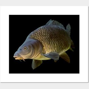 Carp 1 Posters and Art